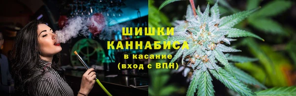 трава Инта