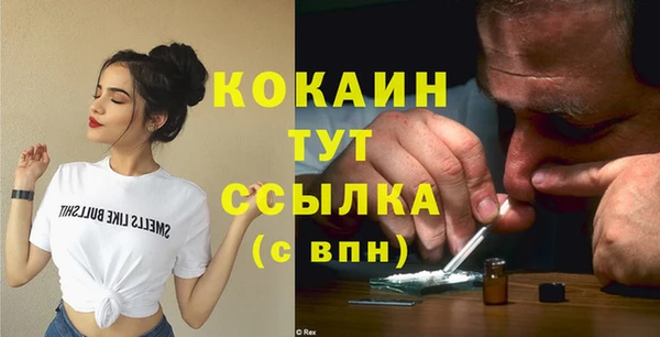 трава Инта