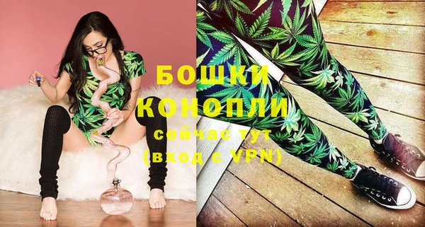 трава Инта