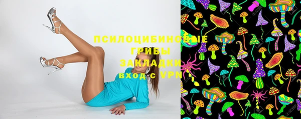трава Инта