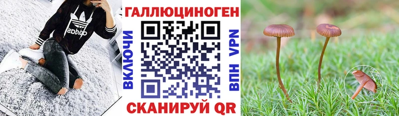 Галлюциногенные грибы Psilocybine cubensis  Купить закладки  Безенчук 